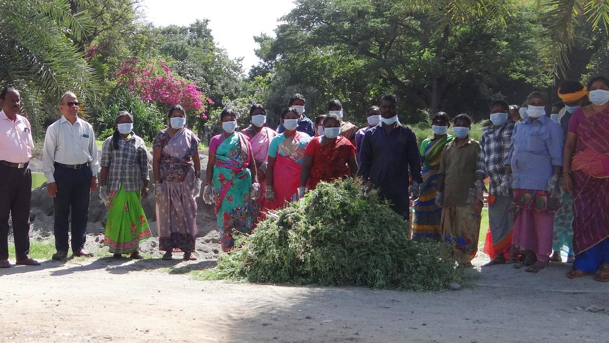 agri.-department-pre-occupied-with-digital-crop-survey,-might-dispense-with-parthenium-consciousness-programmes-this-yr