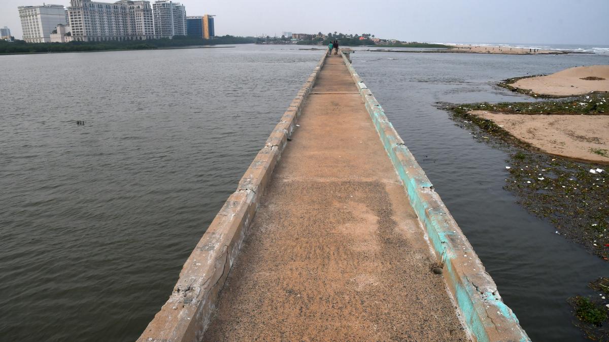 a-bridge-with-no-vacation-spot,-till-cinema-stepped-in