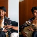 bull-calf-residing-on-twenty-eighth-ground-of-tamil-nadu-skyscraper-leaves-web-with-questions:-is-he-potty-educated?