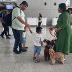 therapy-canines-deployed-at-hyderabad-airport-to-ease-passenger-nervousness