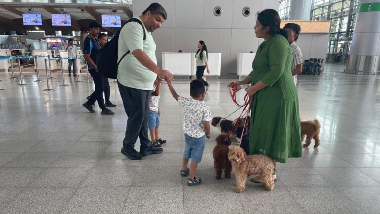 therapy-canines-deployed-at-hyderabad-airport-to-ease-passenger-nervousness