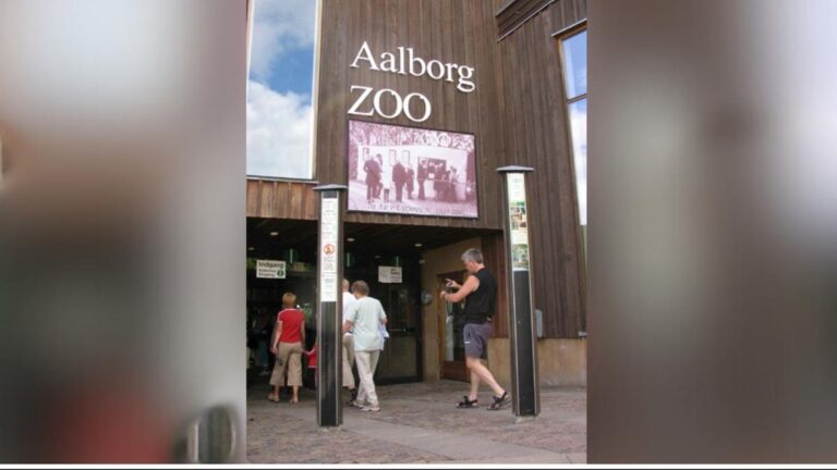 denmark-zoo-asks-individuals-to-donate-their-small-pets-as-meals-for-captive-predators