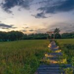 a-greecian-style-luxurious-villa-in-chennai-locations-nature-over-all-else
