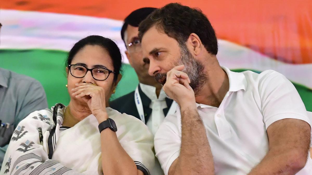 stir-in-opposition-to-sir-a-gathering-level-for-trinamool-and-congress