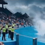 after-jessica-radcliffe,-pretend-‘marina-lysaro-orca-assault’-video-surfaces