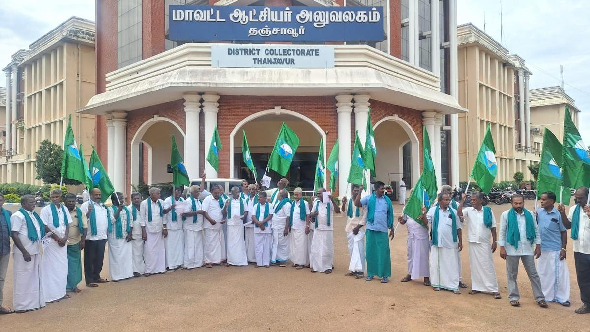 cauvery-delta-farmers-name-for-early-procurement-of-kuruvai-paddy