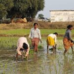 pms-stance-on-defending-farmers-pursuits-welcomed-by-farmer-teams
