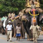 At 5,800kg, Arjuna outweighs all other Dasara jumbos | Mysuru ...