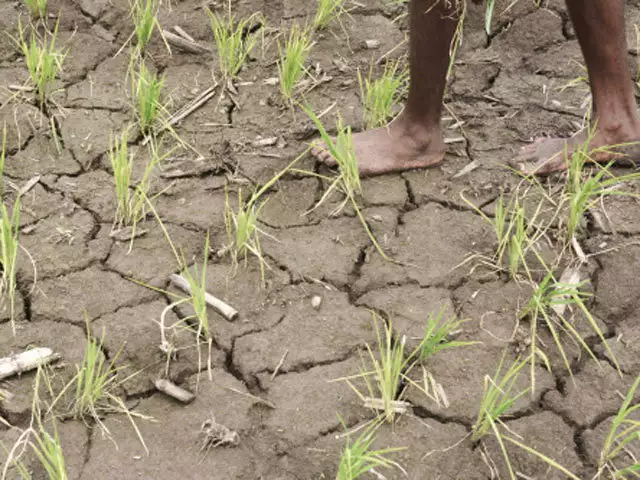 Drought farminig in telangana – Centre for Action Research And ...