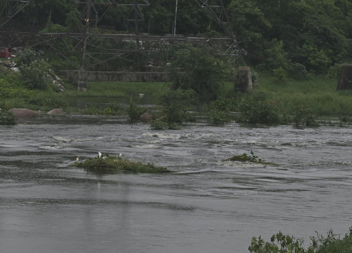 Musi River overflow shuts Chaderghat causeway; Hyderabad traffic ...