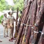 158 red sanders logs seized, five arrested in Kadapa district ...