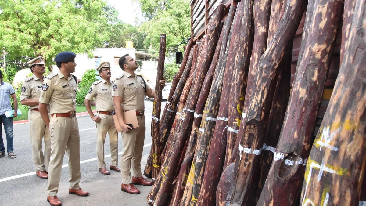 158 red sanders logs seized, five arrested in Kadapa district ...