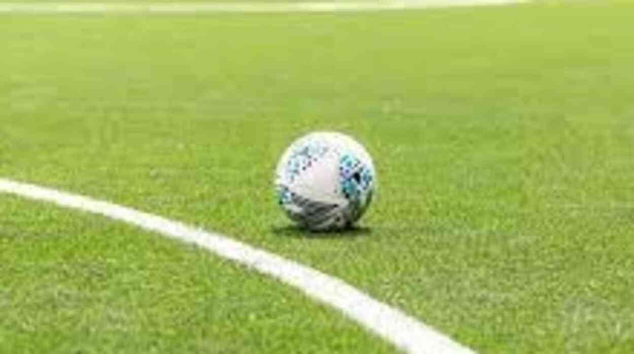 chelsea’s-delap-out-for-as-much-as-three-months:-maresca