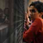tiff-2025-|-why-indian-filmmakerslove-the-toronto-international-film-festival