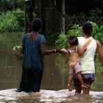 heavy-rains,-mudslides-disrupt-nh29;-suspension-bridge-washed-away-in-nagaland