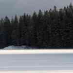 in-nordic-dispute-over-eu-forest-targets,-echoes-of-greeces-disaster