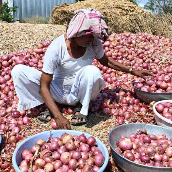 why-are-maharashtras-onion-farmers-protesting?-|-explained