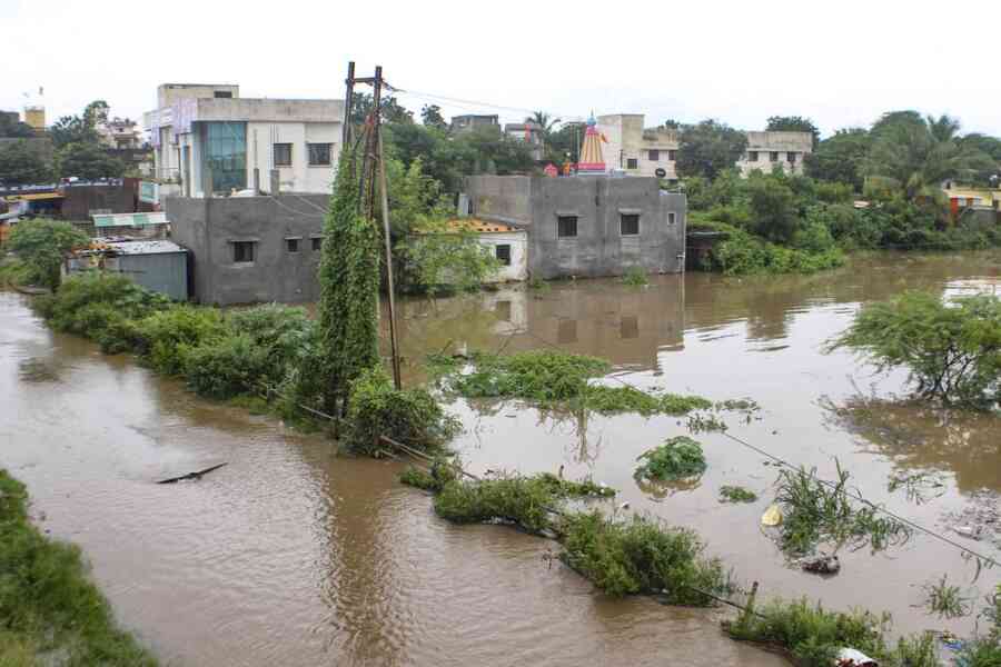 september-rains-hit-tougher,-farmers-to-get-support-earlier-than-diwali:-maharashtra-agriculture-minister