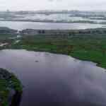 ngt-bars-development-exercise-round-pallikaranai-marshland-till-a-scientific-research-is-carried-out