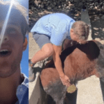 australian-man-rescues-stranded-cow-from-drain-in-india,-wins-reward-for-good-karma