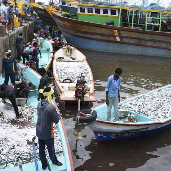 sri-lankan-navy-arrests-12-karaikal-and-tn.-fishermen