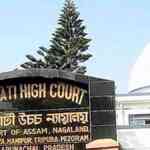 Gauhati HC grants bail to Kuki Inpi spokesperson in NIA case on ...