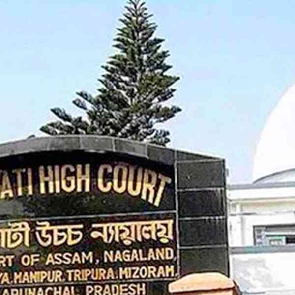 Gauhati HC grants bail to Kuki Inpi spokesperson in NIA case on ...