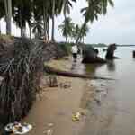 Losing the edge to sea: village in Andhra Pradesh falls prey to ...