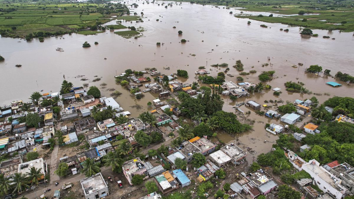 over-60-lakh-hectares-of-farms-hit-by-rains,-have-sought-reduction-from-centre,-says-fadnavis