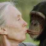 jane-goodall,-primate-professional-and-wildlife-advocate,-dies-at-91