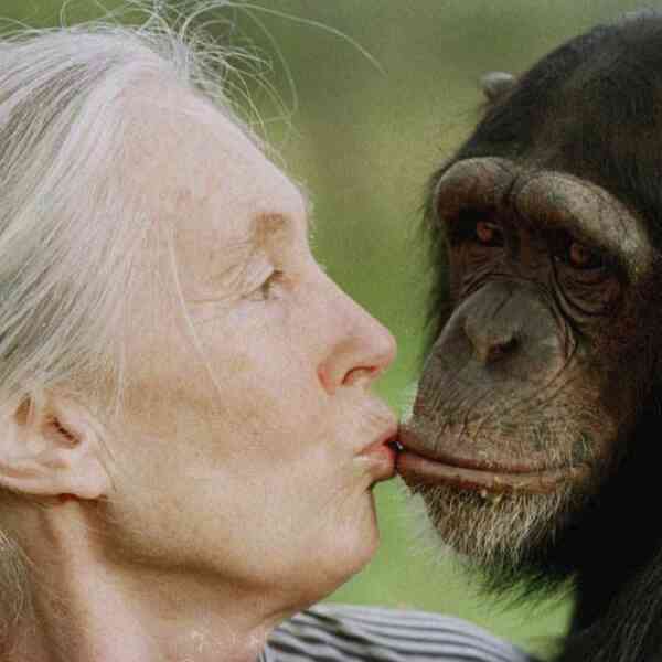 jane-goodall,-primate-professional-and-wildlife-advocate,-dies-at-91