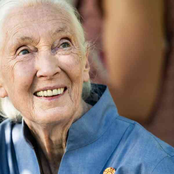 jane-goodall:-the-scientist-who-gave-chimps-names,-not-numbers