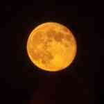 harvest-moon-2025:-when-and-watch-october-supermoon-within-the-us?-here’s-what-we-all-know