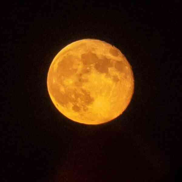 harvest-moon-2025:-when-and-watch-october-supermoon-within-the-us?-here’s-what-we-all-know