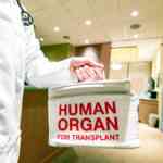 gaps-in-mind-dying-certification-contribute-to-low-deceased-organ-donation-charges-in-india:-consultants