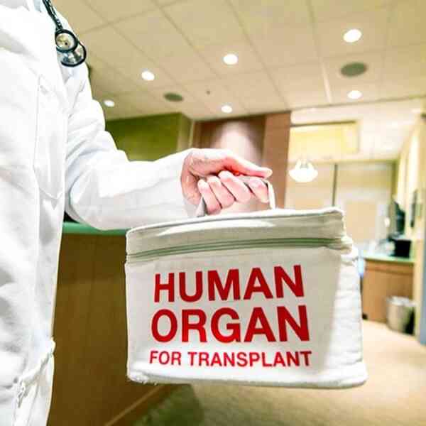 gaps-in-mind-dying-certification-contribute-to-low-deceased-organ-donation-charges-in-india:-consultants