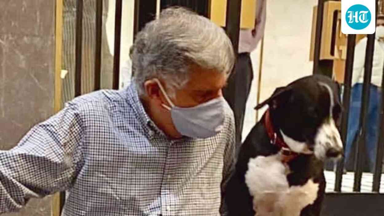ratan-tatas-favorite-canine-goa-attends-annual-blessing-of-the-animals-in-mumbai