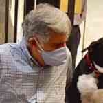 ratan-tatas-favorite-canine-goa-attends-annual-blessing-of-the-animals-in-mumbai