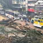 bengaluru-rains:-overnight-downpour-submerges-metropolis-roads,-disrupts-visitors