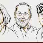 medicine-nobel-2025-awarded-to-trio-for-immuno-regulatory-t-cells-discovery