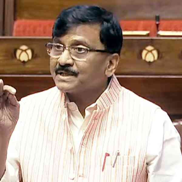 thackeray-brothers-discussing-sena-mns-alliance,-says-raut