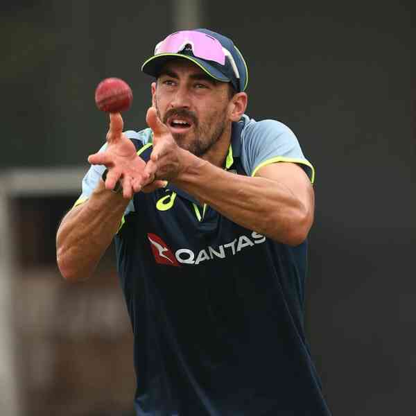 mitchell-starc-returns-to-australia-odi-squad-for-house-collection-in-opposition-to-india;-marsh-to-proceed-to-guide