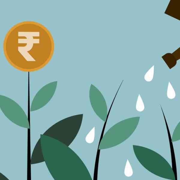 why-indian-capital-wants-to-take-a-position-domestically