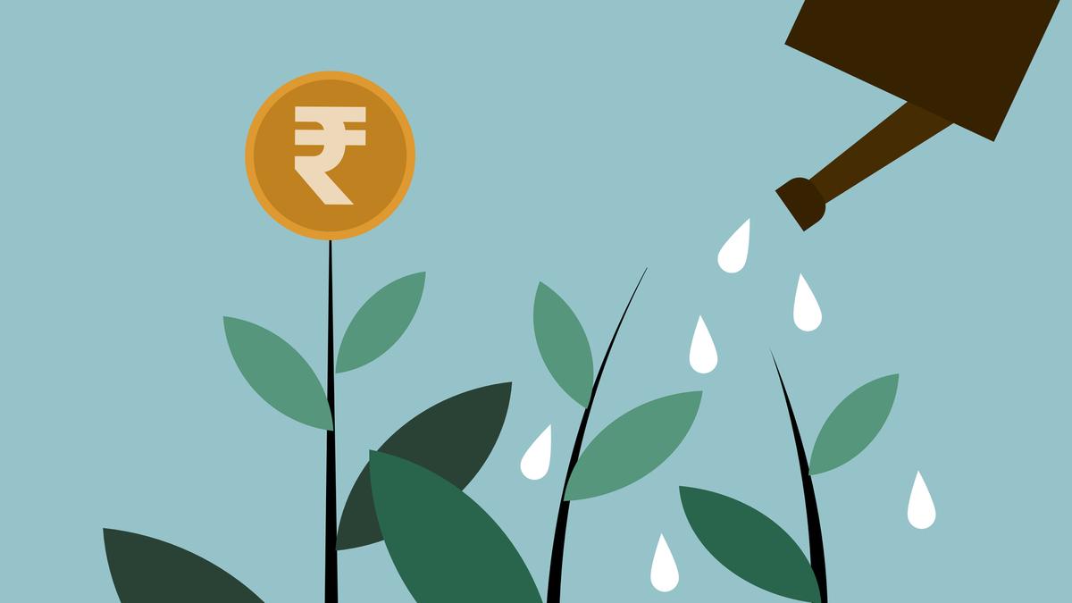 why-indian-capital-wants-to-take-a-position-domestically
