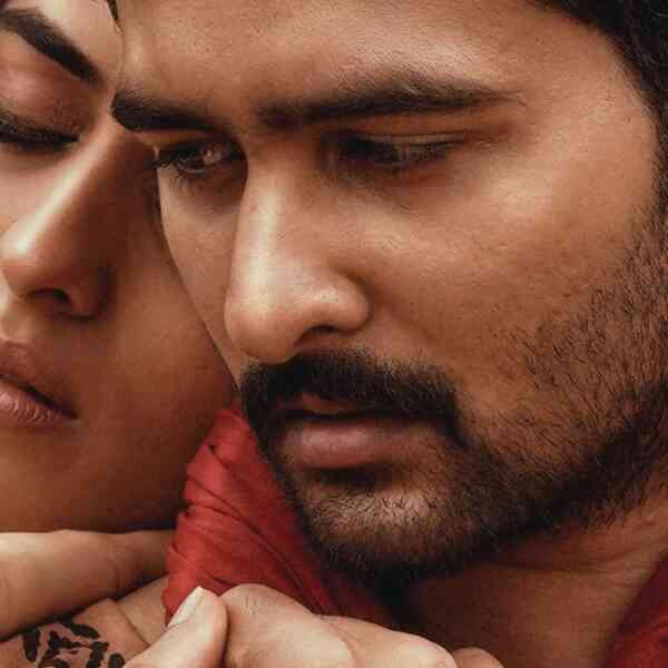 cbfc-calls-for-makers-to-chop-beef-biriyani-consuming-and-a-number-of-other-different-scenes-from-malayalam-film-haal
