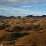 wild-tamil-nadu,-showcasing-the-biodiversity-of-the-state,-to-premiere-in-chennai