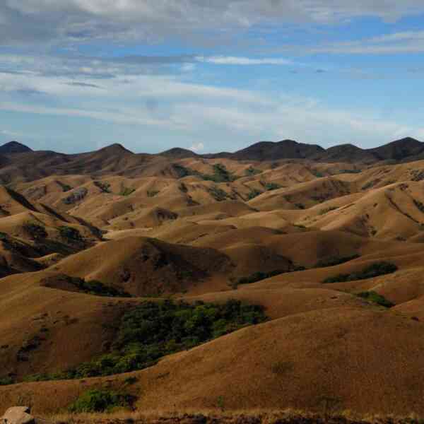 wild-tamil-nadu,-showcasing-the-biodiversity-of-the-state,-to-premiere-in-chennai