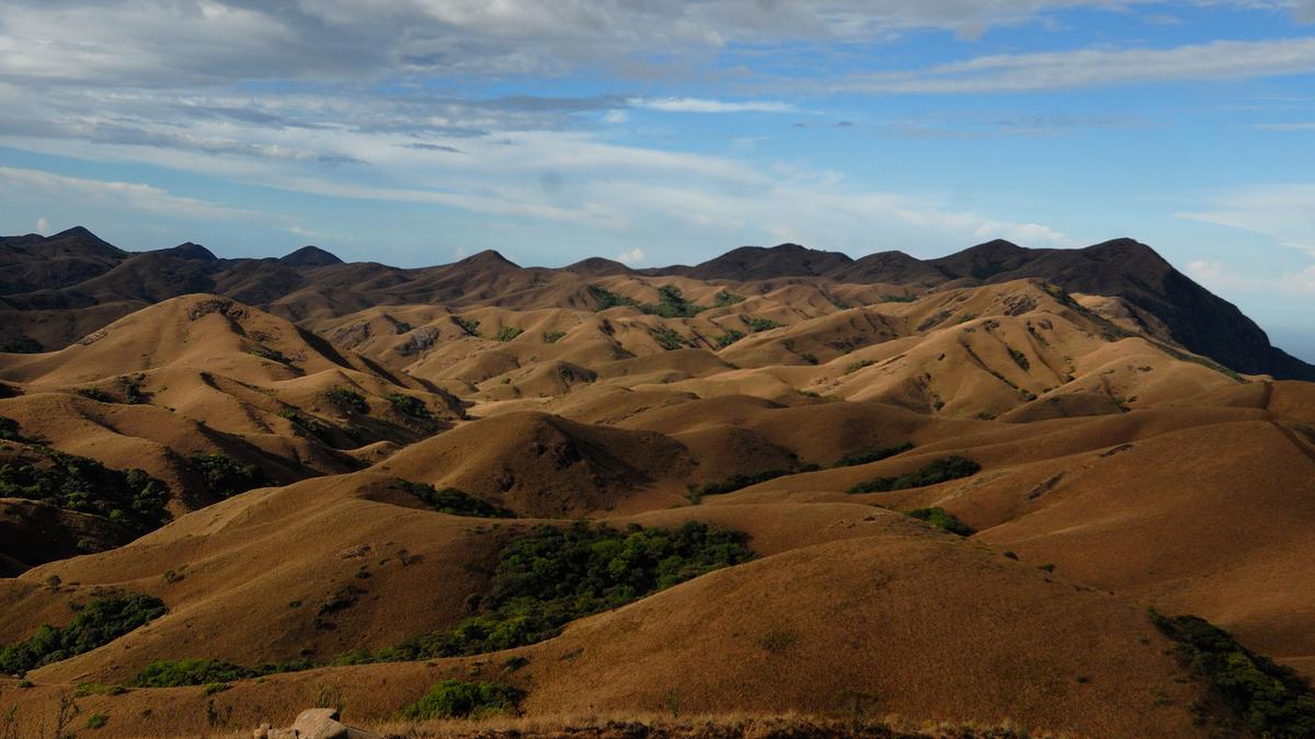 wild-tamil-nadu,-showcasing-the-biodiversity-of-the-state,-to-premiere-in-chennai