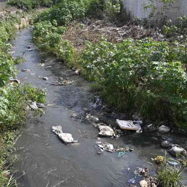 residents-urge-coimbatore-corporation-to-clear-drains-and-canals-forward-of-northeast-monsoon