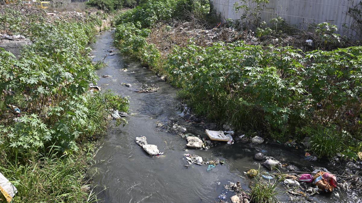 residents-urge-coimbatore-corporation-to-clear-drains-and-canals-forward-of-northeast-monsoon